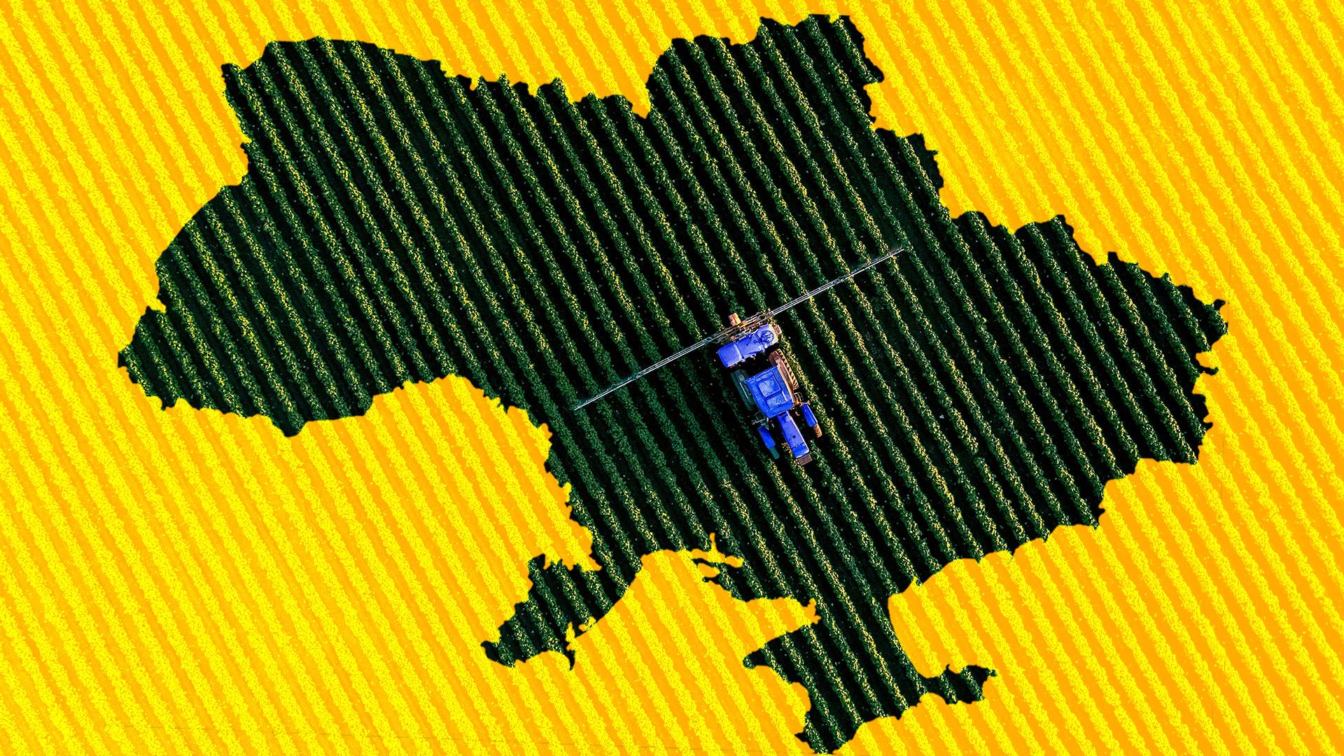 Article image: Agrarian evolution of Ukraine